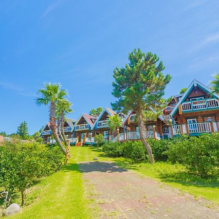Jungmun Log Pension&Resort Seogwipo Extérieur photo