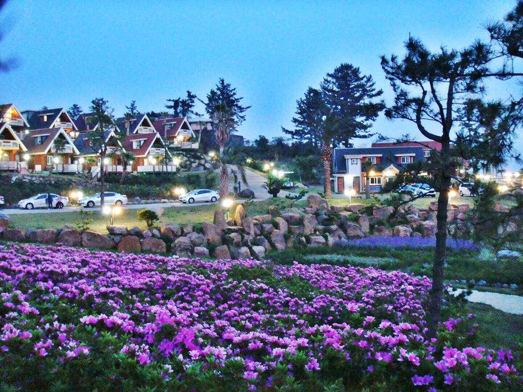 Jungmun Log Pension&Resort Seogwipo Extérieur photo