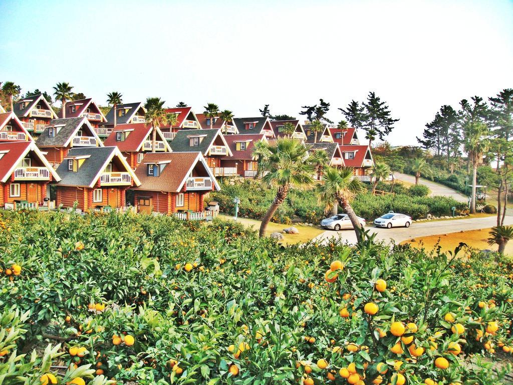 Jungmun Log Pension&Resort Seogwipo Extérieur photo