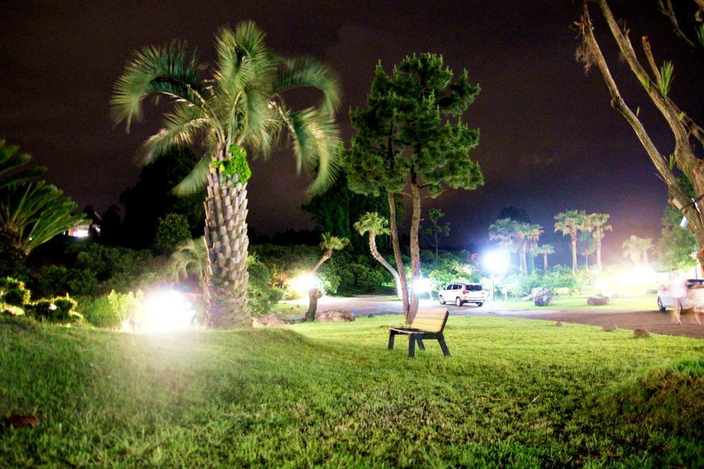 Jungmun Log Pension&Resort Seogwipo Extérieur photo