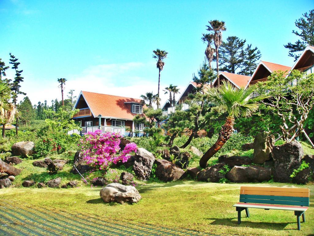 Jungmun Log Pension&Resort Seogwipo Extérieur photo