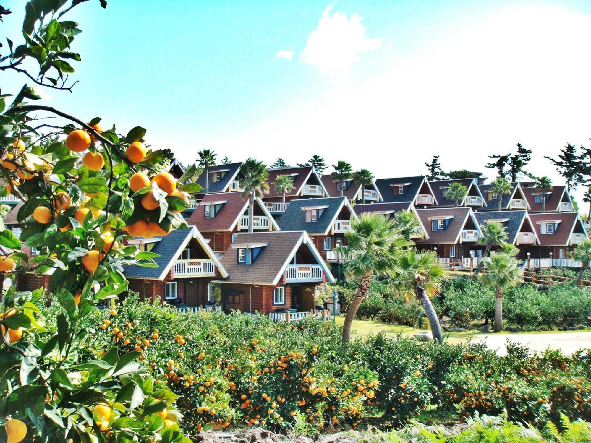 Jungmun Log Pension&Resort Seogwipo Extérieur photo
